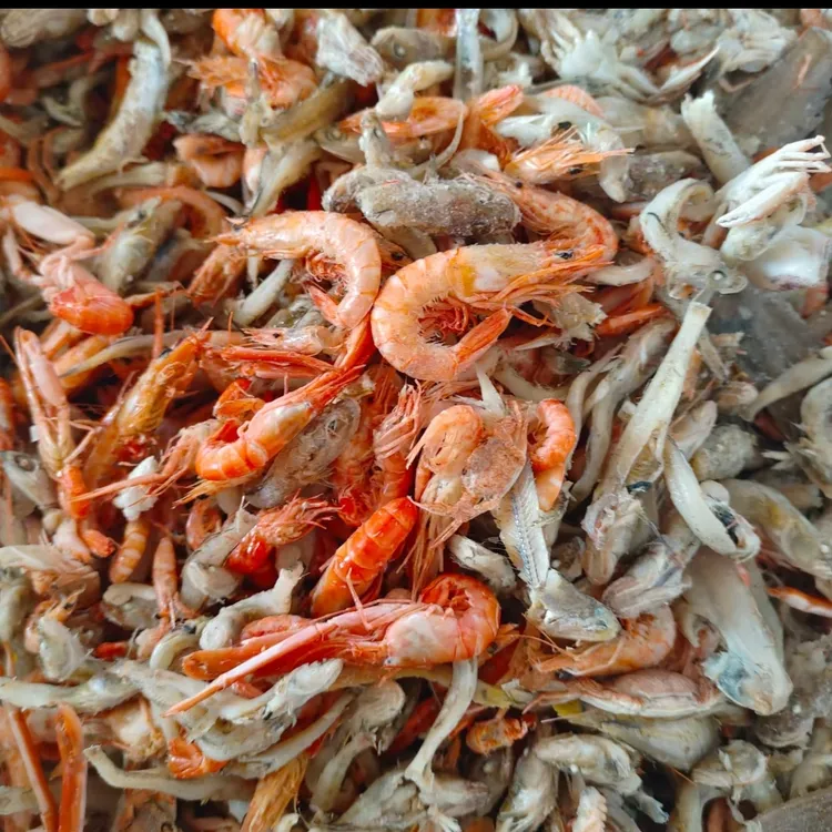 小油光鱼小海虾混合3斤