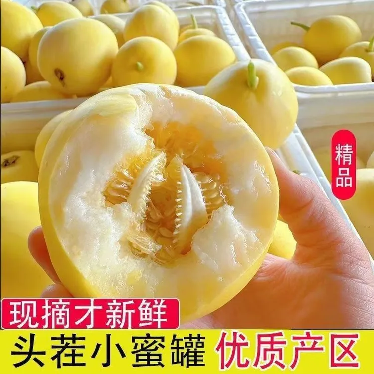 【京东/顺丰】山东头茬小蜜蜂甜瓜新鲜当季水果香甜脆口产地直发