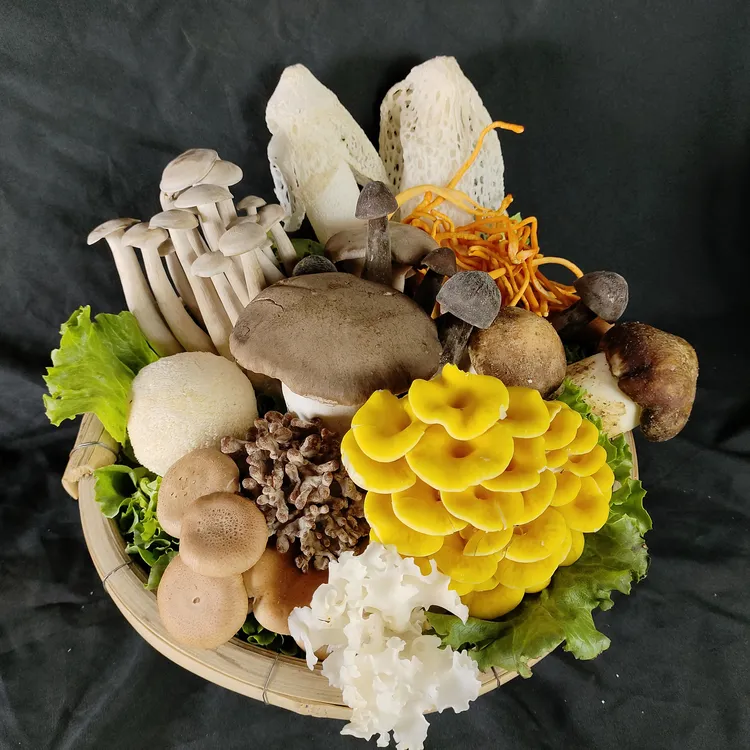 云南新鲜菌菇组合食用杂菌火锅套餐500克包邮