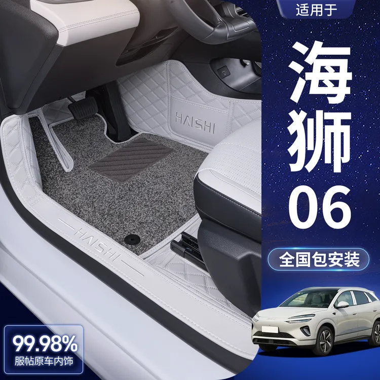 适用于海狮06脚垫全包围25款海狮06ev/dmi汽车改装饰配件星空地毯