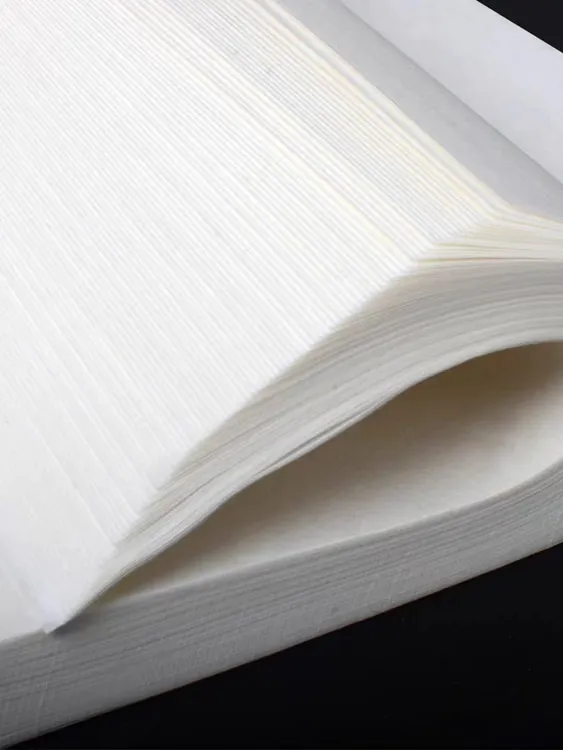 创作级生宣毛笔宣纸书法专用纸白宣纯手工四尺整张专用对开书法