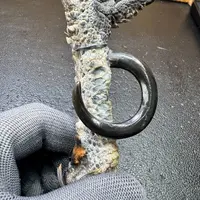 文玩鸡爪骨手把件（单只 处理好十天左右发货）