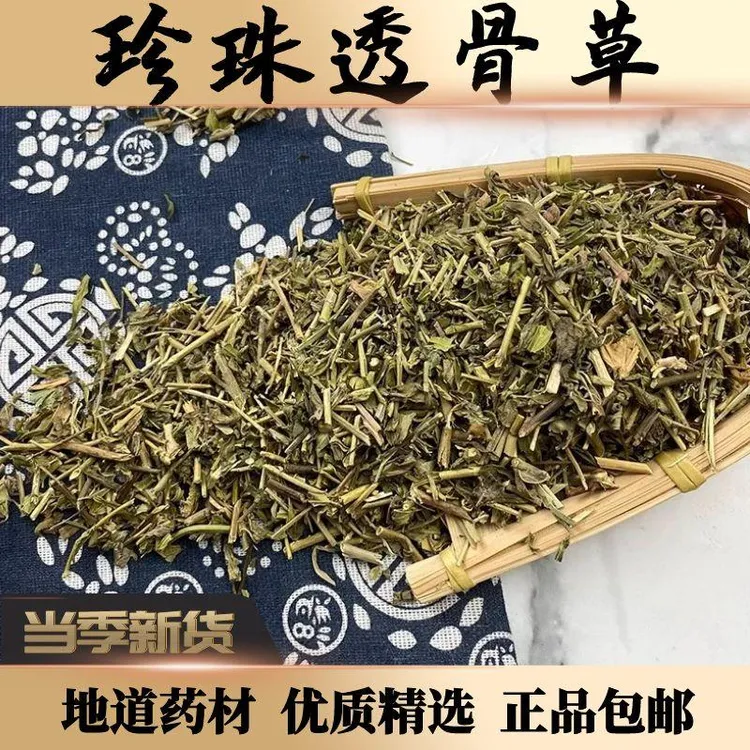 正宗珍珠透骨草100g克中药材新鲜透骨草自然晒干无硫无添加正品