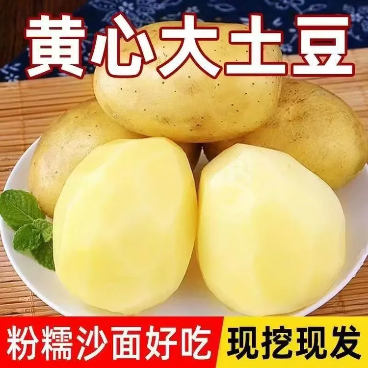 【带箱10斤】正宗陕北土豆软糯香甜