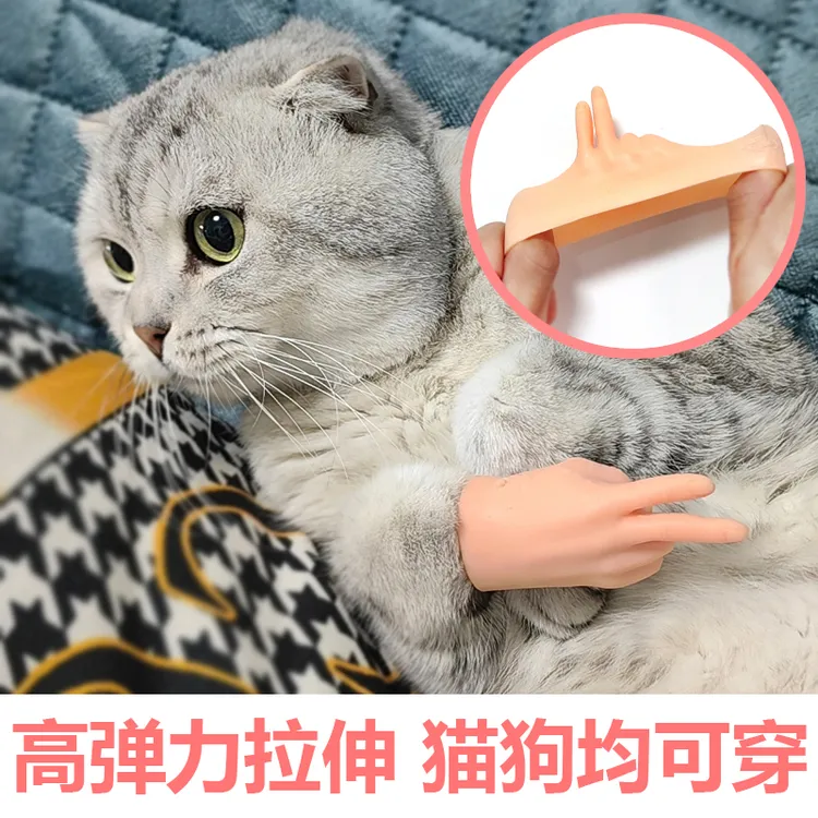 猫咪小手指套可拉伸迷你弹力猫爪手套逗猫软胶迷你猫咪手套搞笑