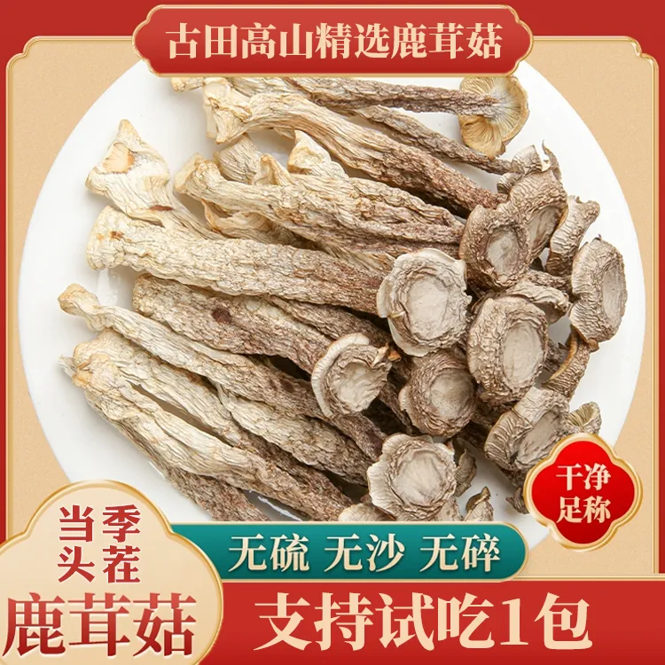 豪媳妇（高山鹿茸菇）高山种植鹿茸菇优质干货鲜香脆嫩