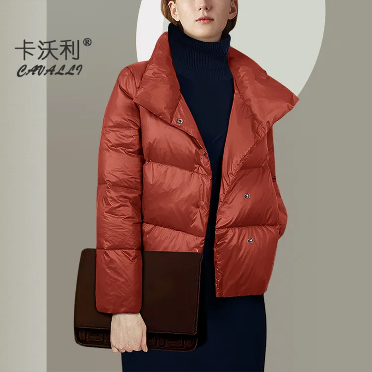 2025年新款时尚百搭韩版短款羽绒服女轻薄小个子冬款羽绒保暖外套