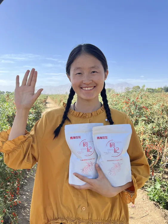 【特大果】青藏高原柴达木2025年头茬果王级别红枸杞（新货）