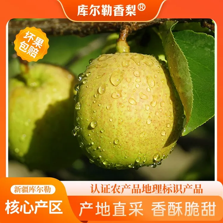 【孔雀河畔】新疆库尔勒香梨5斤装 核心产区 单果100g起