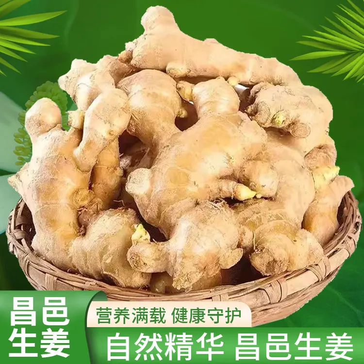 山东大姜香味浓郁辛辣够味现挖生姜新鲜姜老姜产地直销[混装中果]