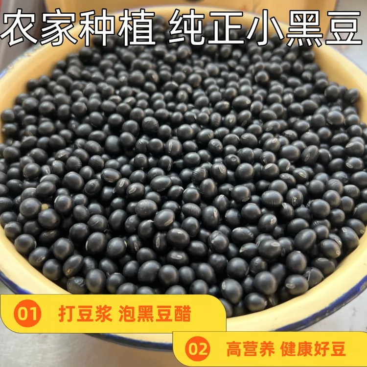 东北生黑豆农家新货小黑豆非转基因黄心可生豆芽打豆浆煲汤煮水喝