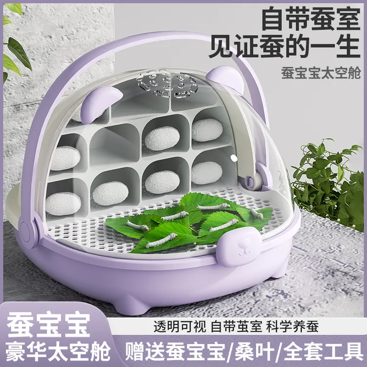 养蚕饲养盒活体蚕宝宝太空舱观察箱蚕卵套装用品学生养蚕全套工具