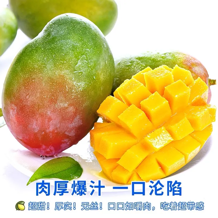 攀枝花凯特芒果酸甜多汁香味浓郁新鲜采摘应季水果（生切不售后）