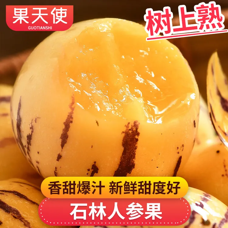 【果天使】云南石林人参果1-4.5斤树上熟香甜爆汁新鲜应季水果好吃