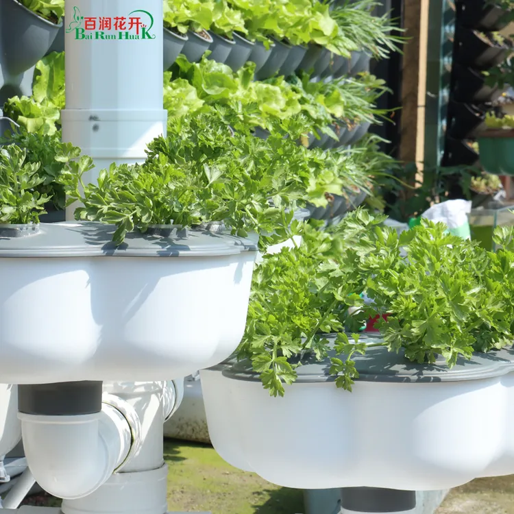 植物墙玉树60孔72孔立体种植盒家用工程专用室内户外植物墙塑料