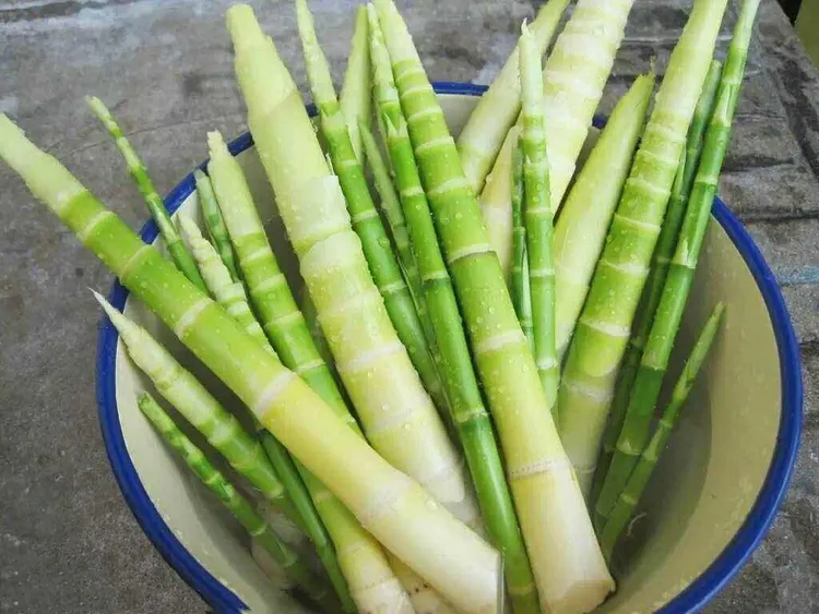 【多妈家种植】四川高山新鲜脆嫩红皮竹笋（自然发酵酸笋）