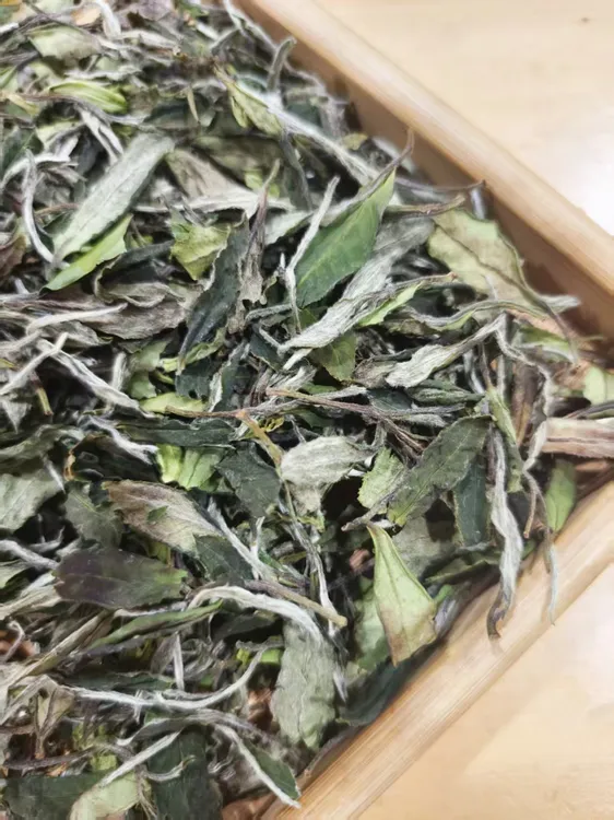 2025年管阳高山白茶白牡丹散茶花香蜜韵滋味饱满鲜爽茶叶