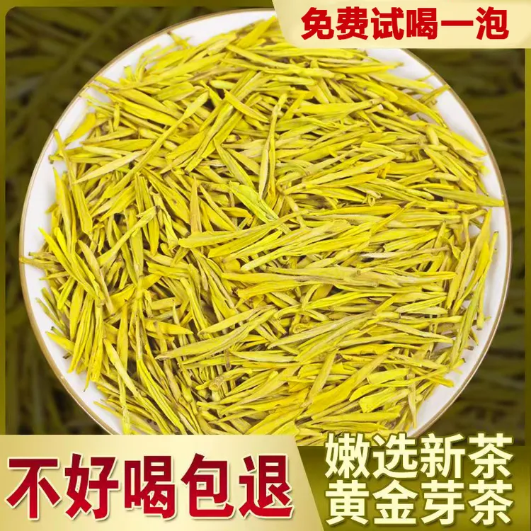 『爆款口粮黄金芽』2025新茶春茶珍稀高山嫩芽黄金芽茶浓香耐泡爆款