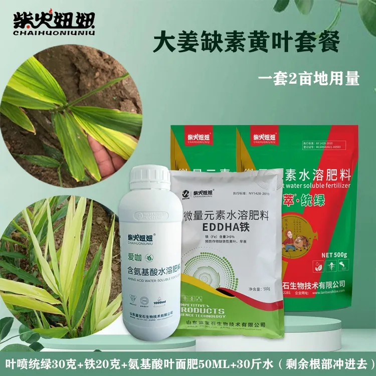 柴火妞妞缺素黄叶套餐（坤萃统绿 EDDHA铁 氨基酸叶面肥）