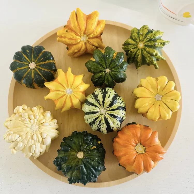 F151-200墨西哥七彩疙瘩葫芦摆件高端把玩天然原皮云南基地直采
