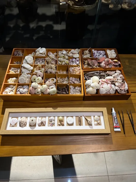 海南三亚旅行特色纪念品原创手作潮玩伴手礼天然贝壳标本创意摆台