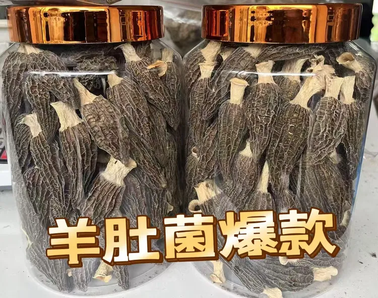 云南羊肚菌羊肚干菌干货新货头茬厚肉煲汤火锅鲜美菌菇连衣裙