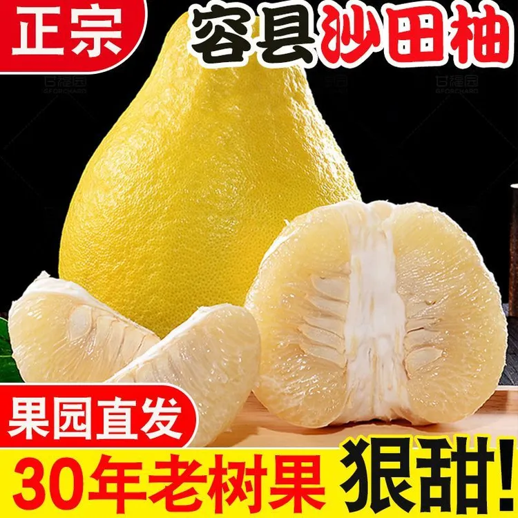（礼盒装山顶特靓果）正宗容县沙田柚老树新鲜多汁脆甜可口柚子
