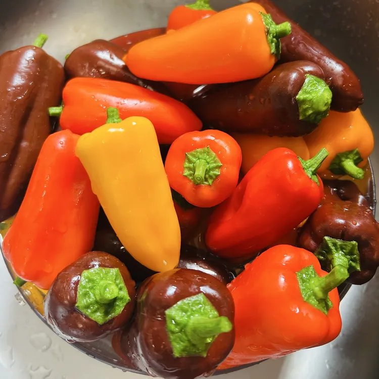 生吃身材管理水果椒红辣椒蔬菜彩椒辣椒生食新鲜健身应季水果食材