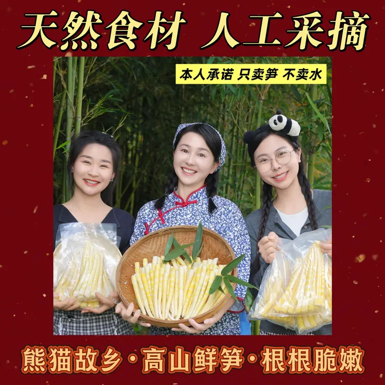 【鲜嫩推荐】雨城高山鲜竹笋精品 笋尖500g-3000g山间美味
