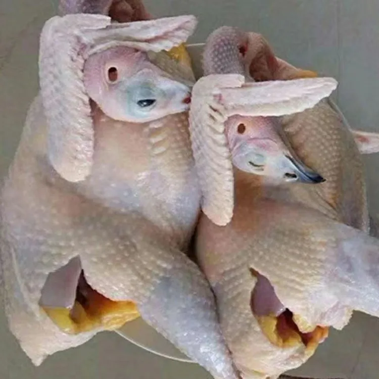 七彩山鸡整鸡现宰现杀生鲜速冻新鲜鸡肉顺丰京东包邮