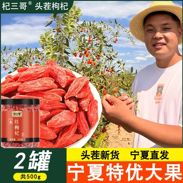 新货精选头茬大果颗粒罐装宁夏中宁特优级500g