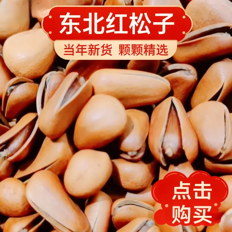 特大850颗粒纯地产东北松子大开口红松子零食坚果干果长白山松子