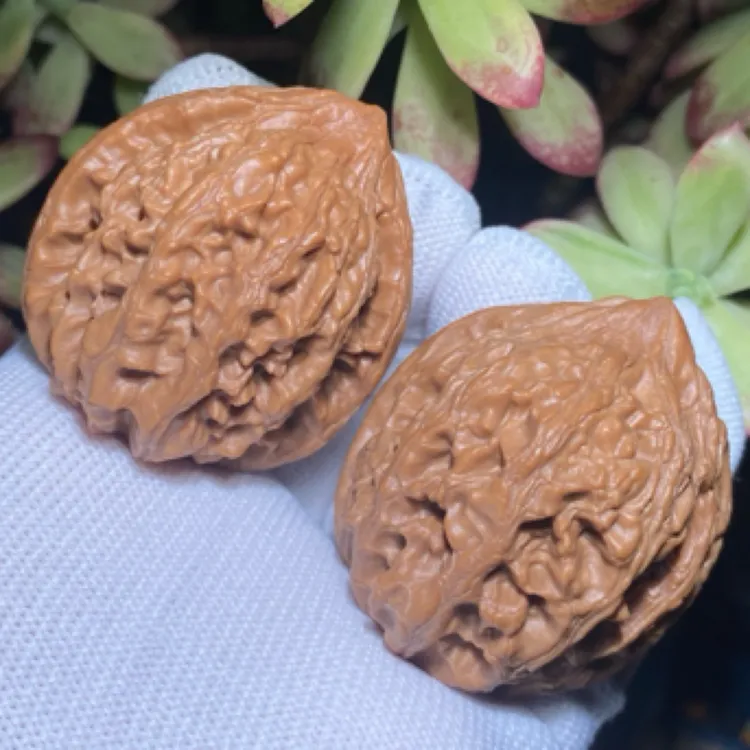 大沽石狮子头骨质牛分量沉