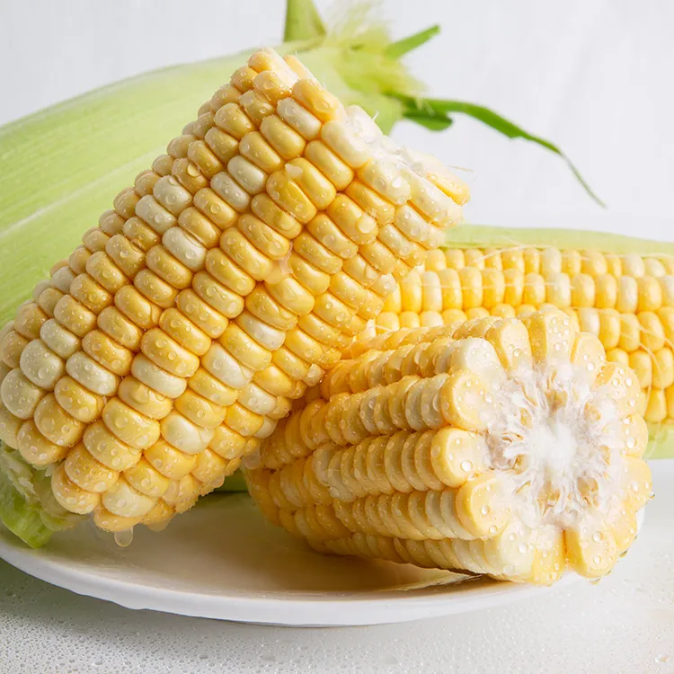云南金银水果玉米4.5斤香甜饱满鲜嫩多汁