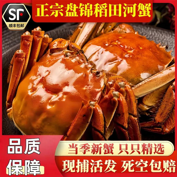 鹏gg专属【活蟹】盘锦河蟹1.7-1.3两公蟹*10只+1.7-1.3两母蟹*10只顺丰包邮