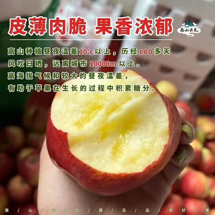 云南昭通201冰糖心丑苹果新鲜现摘脆甜水果