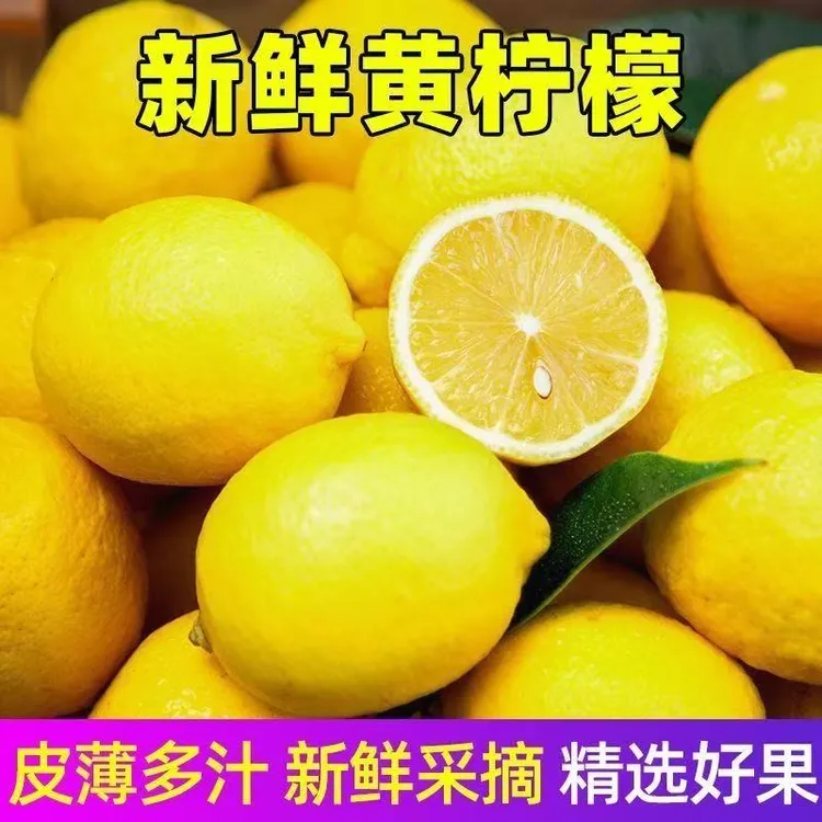 【坏果包赔】无籽黄柠檬现摘1-5斤水果柠檬品种薄皮水柠檬奶茶店 
