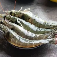 青岛大虾【30-40大虾】肉质鲜嫩大个头海水大虾单只15~18cm 4斤共50~60只海虾YM9.14