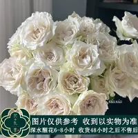 七叶花坊# 【多头赞美】高品质鲜花 顺丰直发玫瑰花修剪
