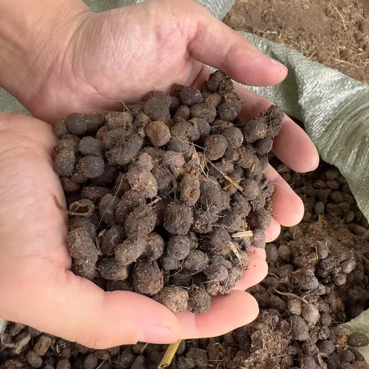 天然发酵纯羊粪养花种菜专用羊粪肥农家肥植物