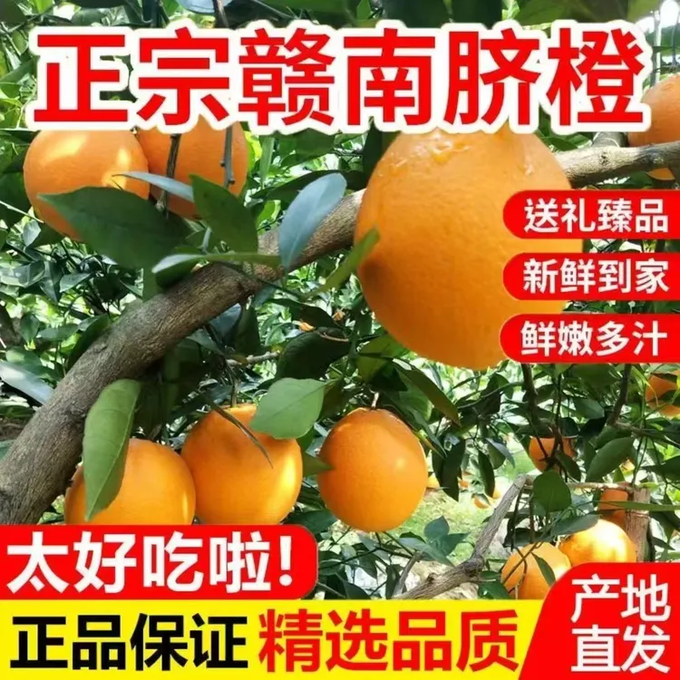 精品正宗江西橙子赣南脐橙新鲜果肉爆满汁水足皮薄孕妇水果果园发