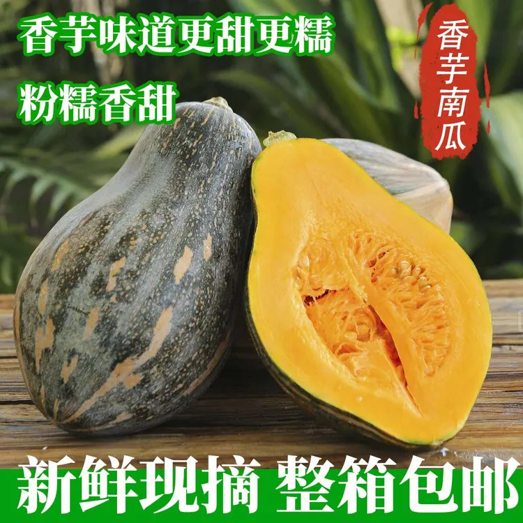 新鲜当季正宗香芋南瓜芋香味甜糯蔬菜宝宝辅食整箱非贝贝板栗南瓜
