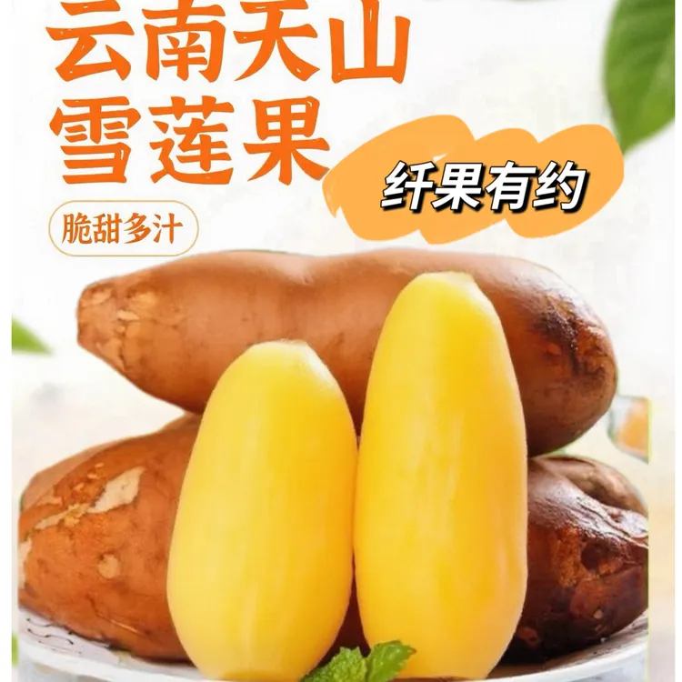 【彩箱气柱发货】正宗云南天山雪莲果头茬黄白果净重3-5斤装