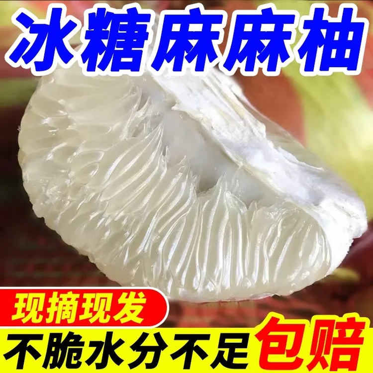 正宗湖南芷江冰糖麻麻柚当季新鲜水果现摘产地直发