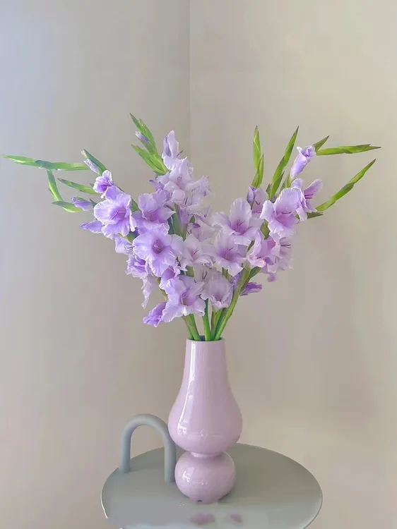 【云南鲜花】剑兰鲜切花产地直发品质保证好养护！花期