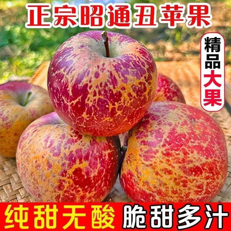 【慧琳专属】云南昭通冰糖心丑苹果新鲜脆甜多汁水果