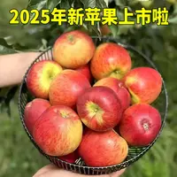 【红星甄选】云南高山小苹果净果3斤礼盒装云南省