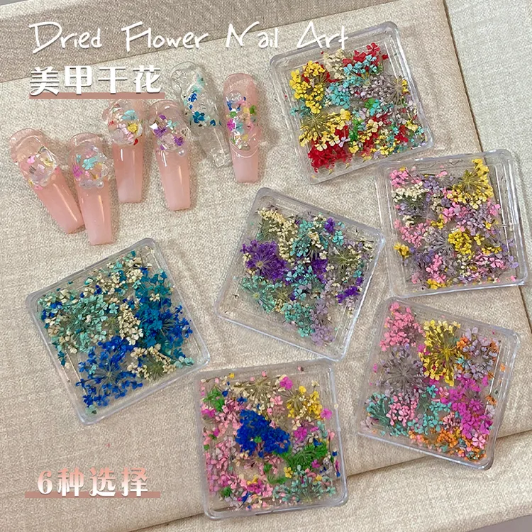 春日美甲干花饰品新款混装彩色天然小碎花素材春夏指甲贴纸装饰品