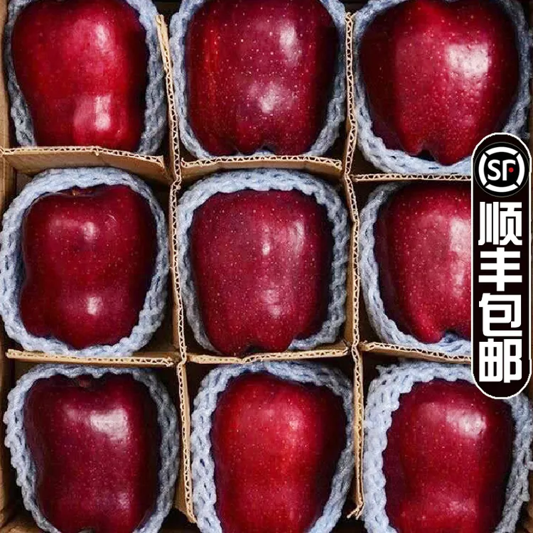 【东三省保温专拍（顺丰包邮）】正宗天水花牛苹果10斤批发主推直播选