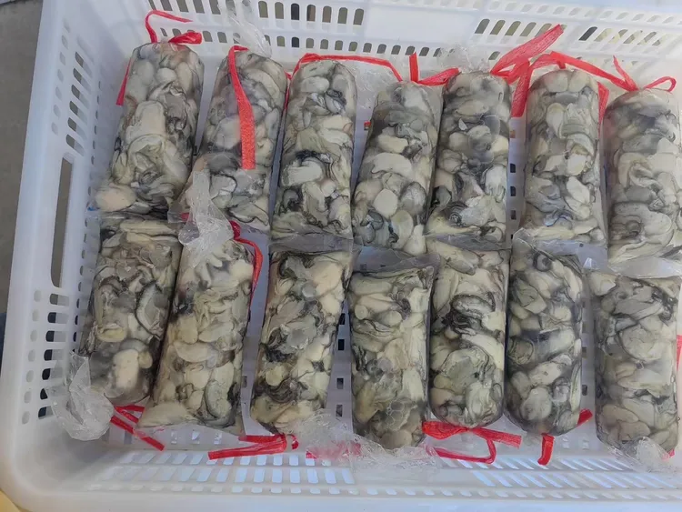 福建新鲜小海蛎现剥含原浆肉质鲜美顺丰包邮到家